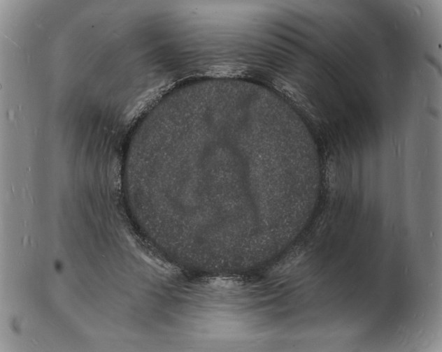 X0000102220303200808221251