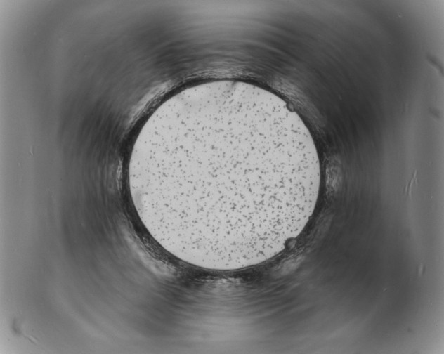 X0000102220304200808221251