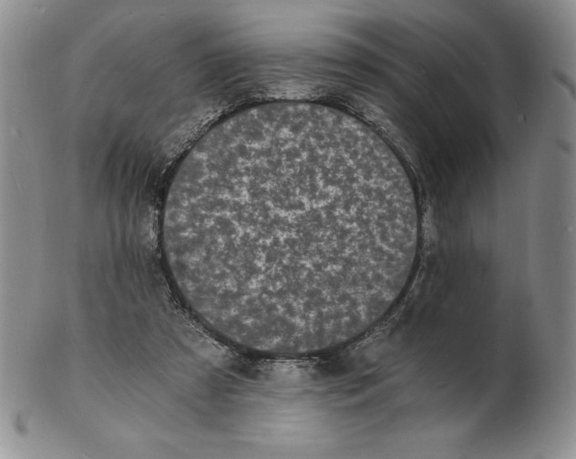 X0000102220305200808221251