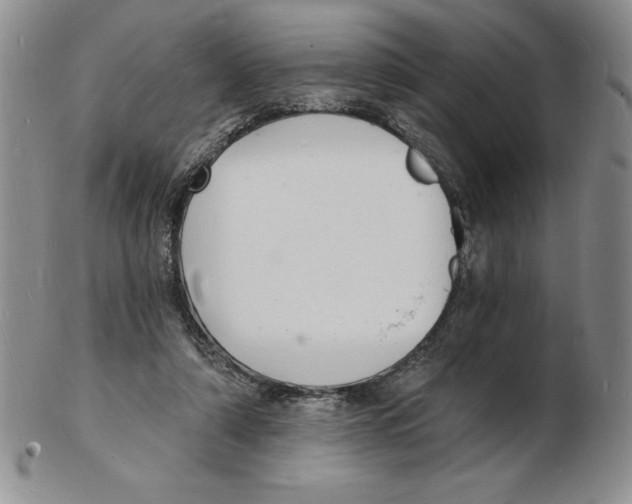 X0000102220306200808221251