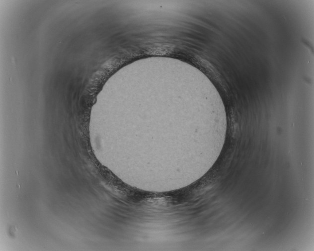 X0000102220307200808221251