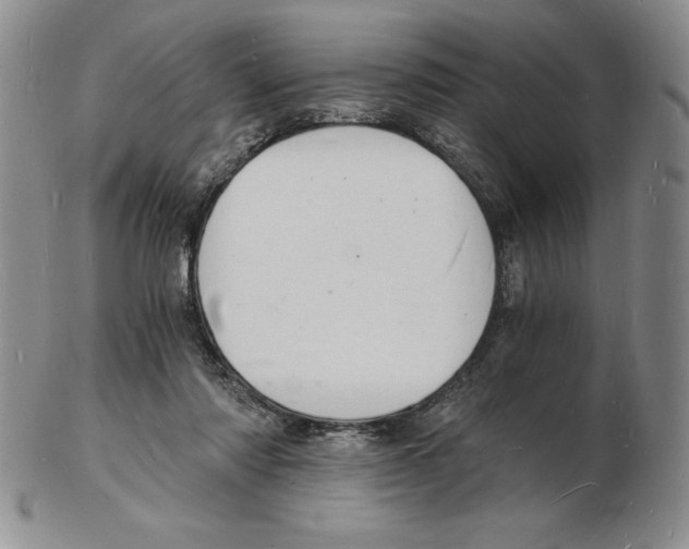 X0000102220310200808221251