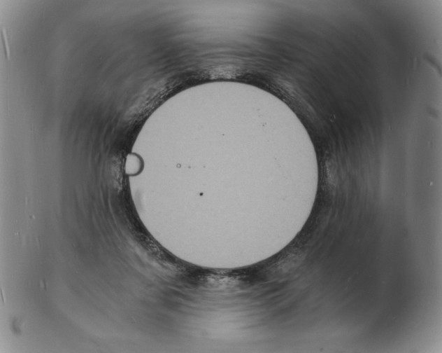 X0000102220311200808221251