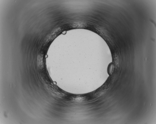 X0000102220312200808221251