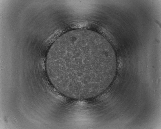 X0000102220313200808221251