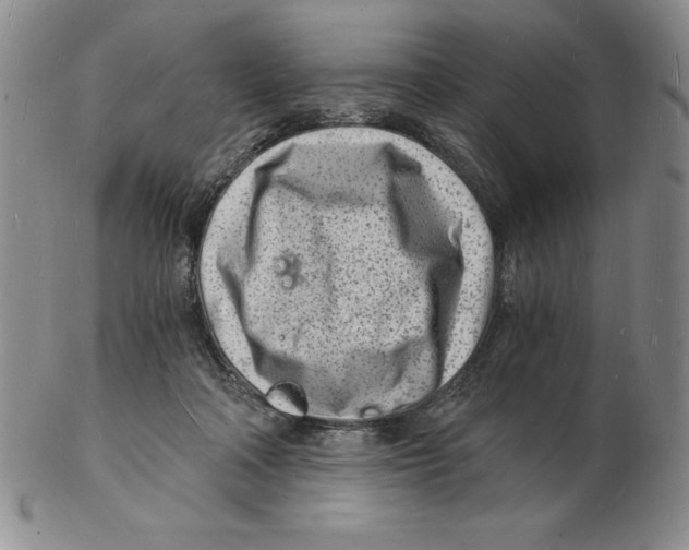 X0000102220314200808221251