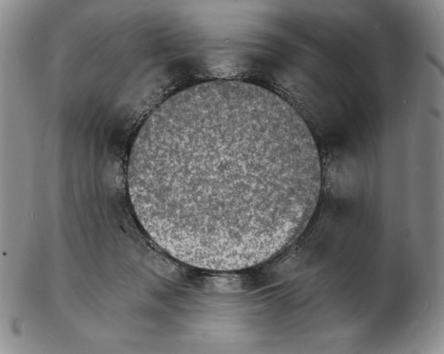 X0000102220317200808221251