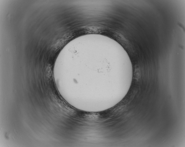 X0000102220318200808221251