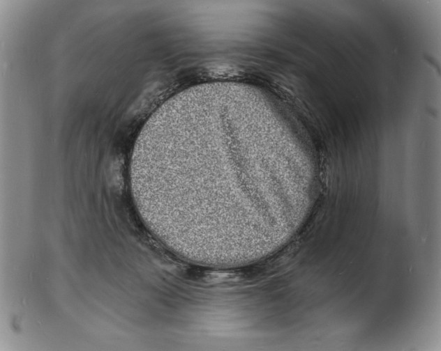 X0000102220319200808221251