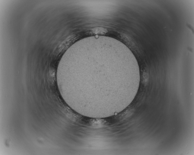 X0000102220321200808221251