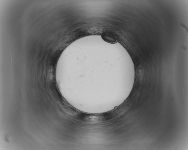 X0000102220323200808221251