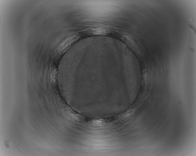 X0000102220325200808221251