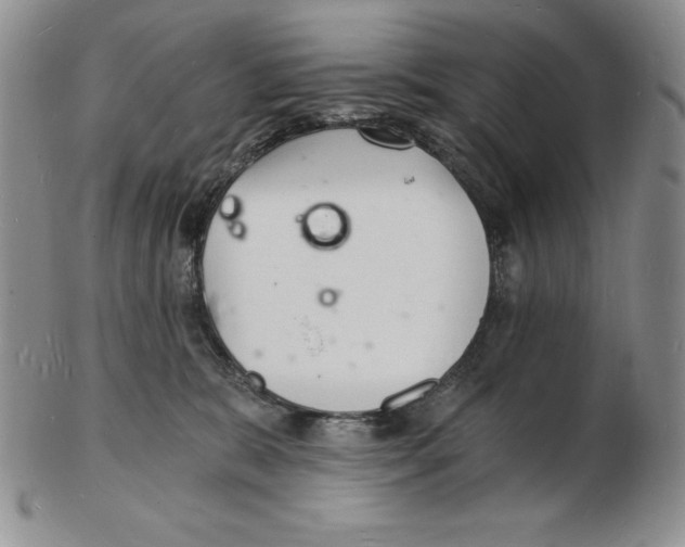 X0000102220327200808221251