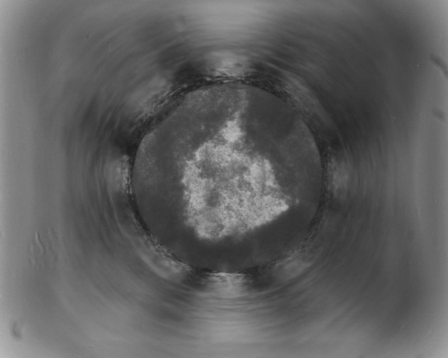 X0000102220328200808221251