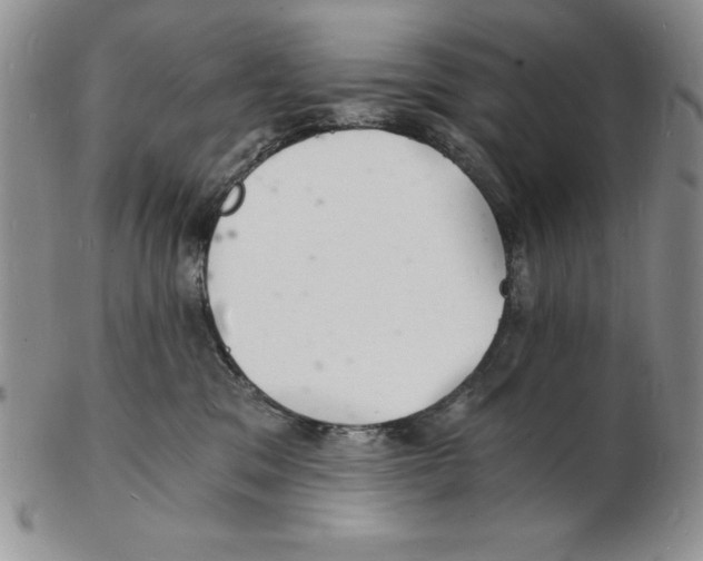 X0000102220329200808221251