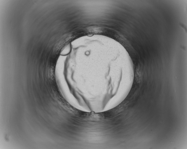 X0000102220330200808221251