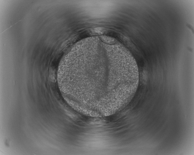 X0000102220331200808221251