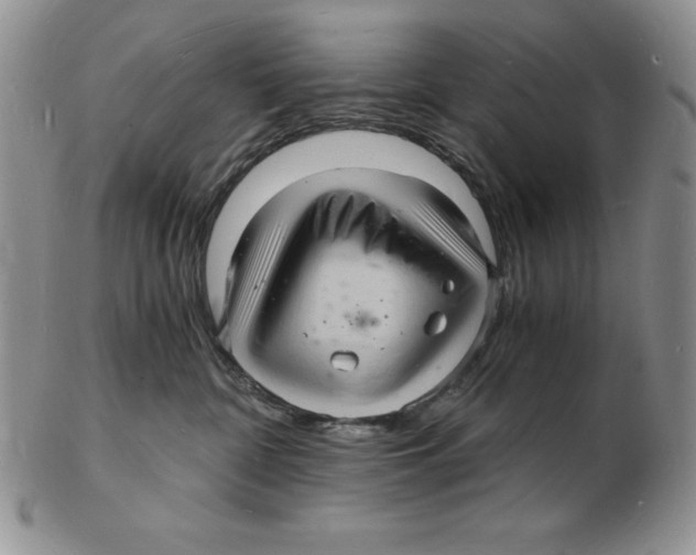 X0000102220332200808221251