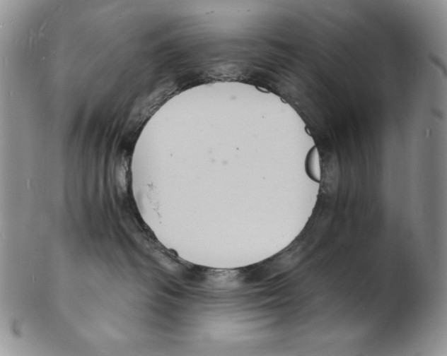 X0000102220334200808221251