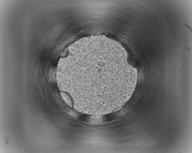 X0000102220335200808221251