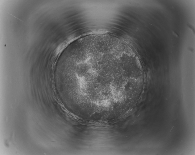 X0000102220337200808221250