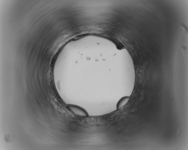 X0000102220338200808221250