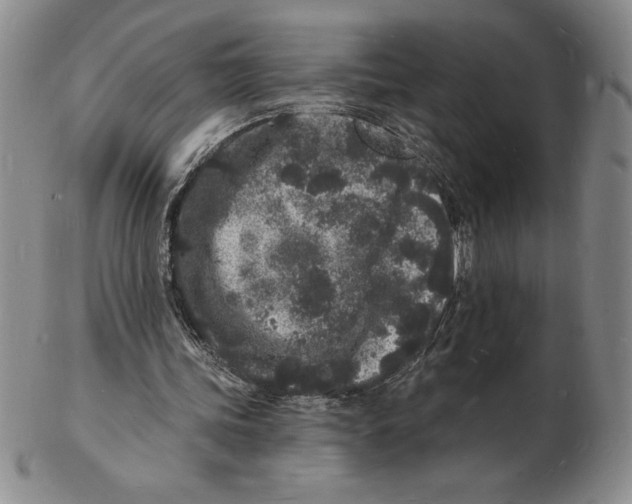 X0000102220339200808221250