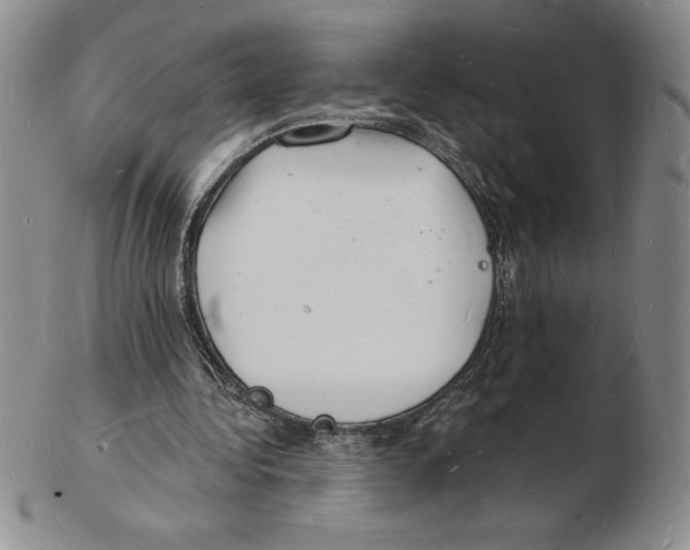 X0000102220340200808221250