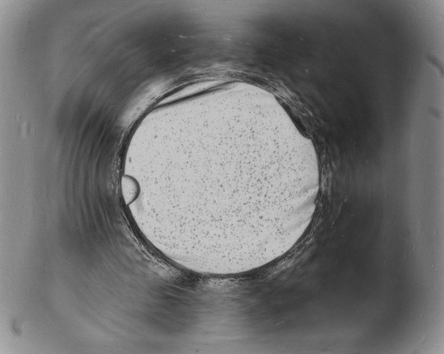 X0000102220341200808221250