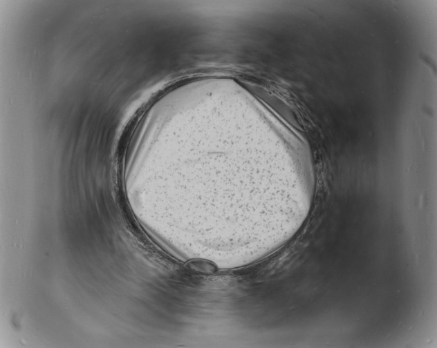 X0000102220342200808221250