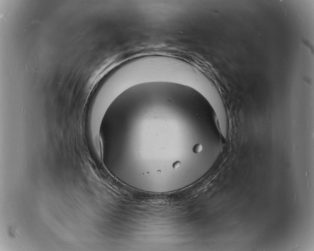 X0000102220344200808221250