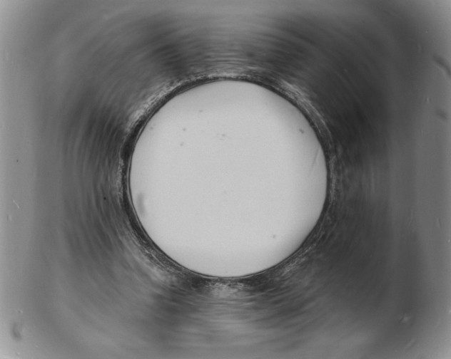 X0000102220346200808221250