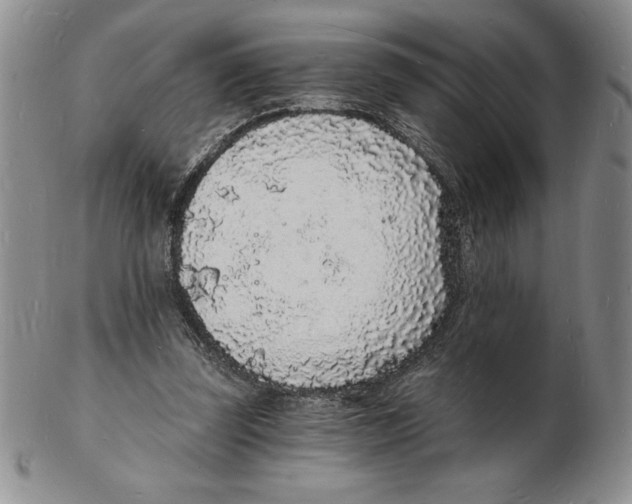 X0000102220347200808221251