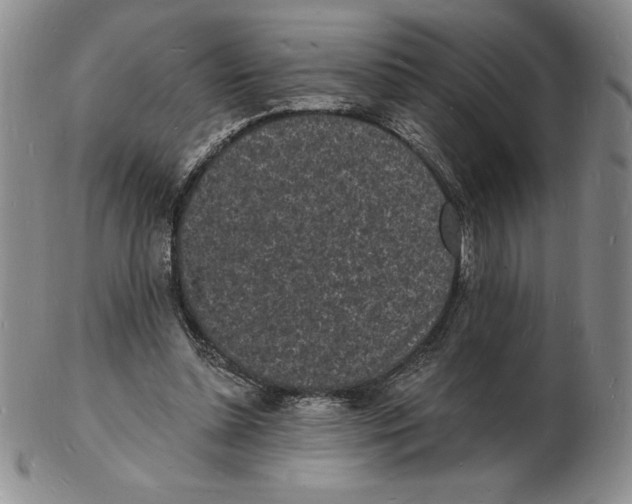 X0000102220348200808221251