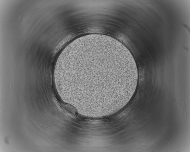 X0000102220349200808221251