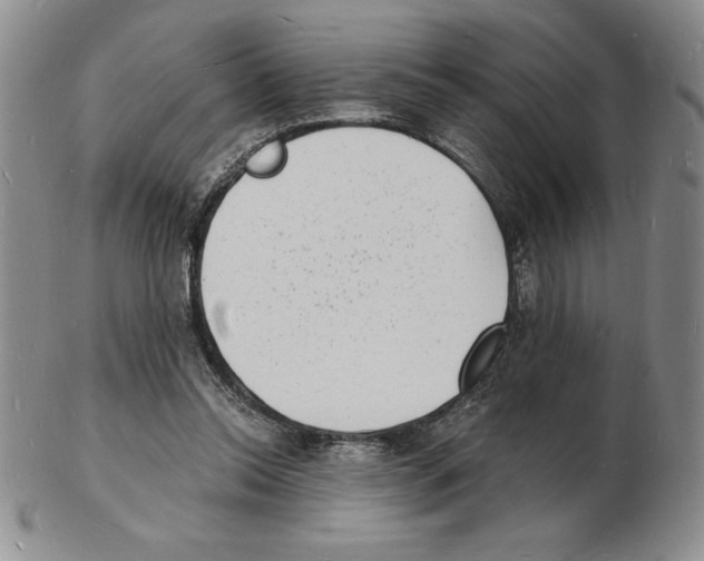 X0000102220350200808221251