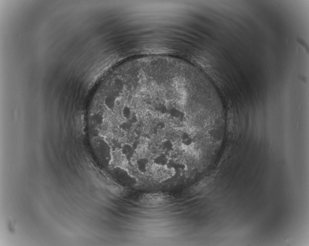 X0000102220351200808221251