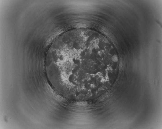 X0000102220353200808221251