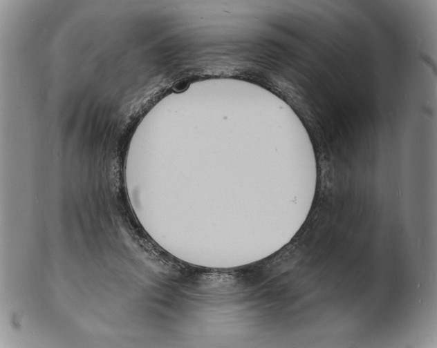 X0000102220354200808221251