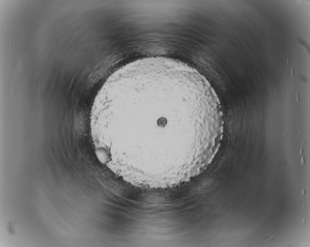 X0000102220359200808221251