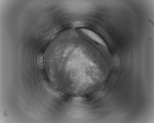 X0000102220360200808221251