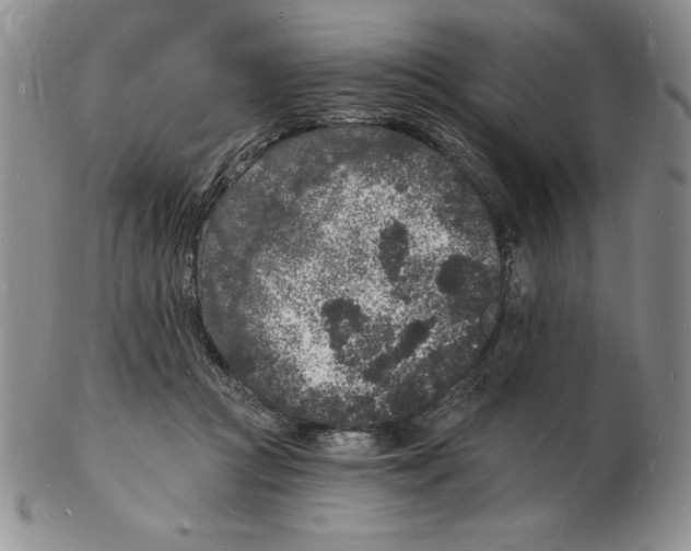 X0000102220361200808221251