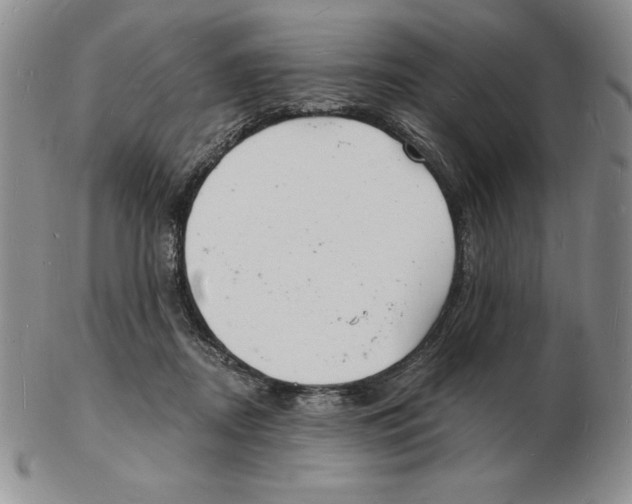 X0000102220362200808221251