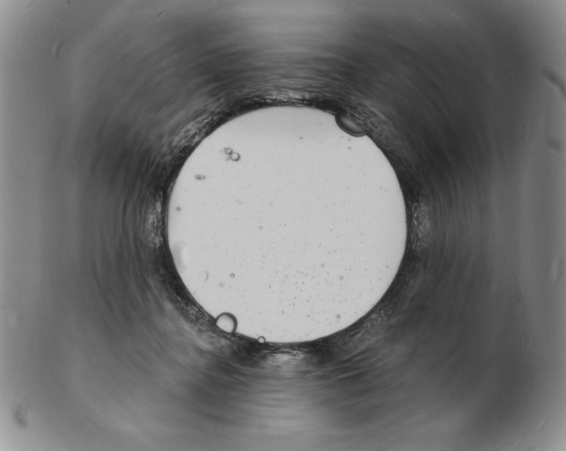 X0000102220364200808221251