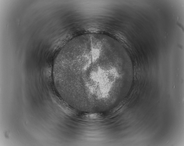 X0000102220365200808221251