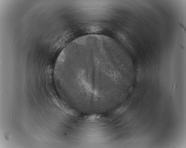 X0000102220366200808221251