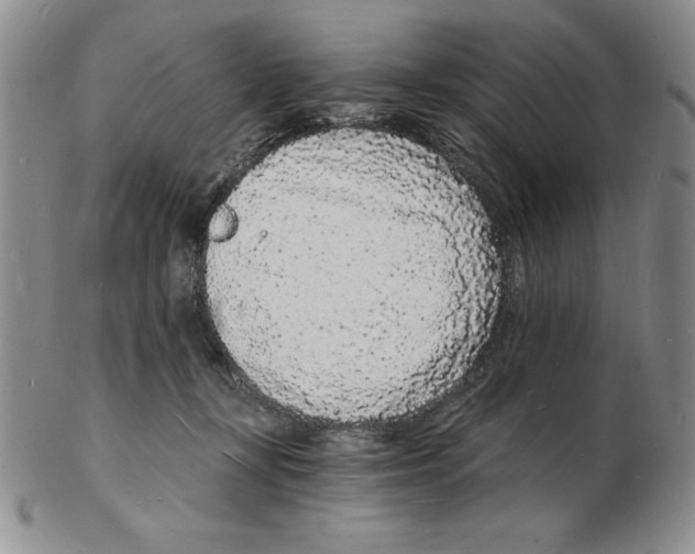 X0000102220367200808221251