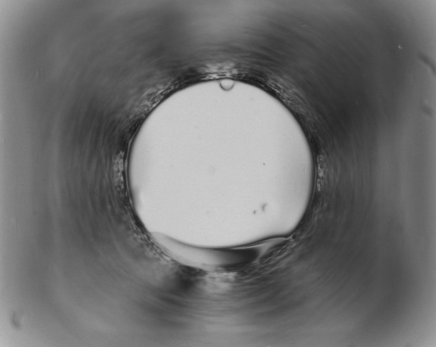 X0000102220369200808221251