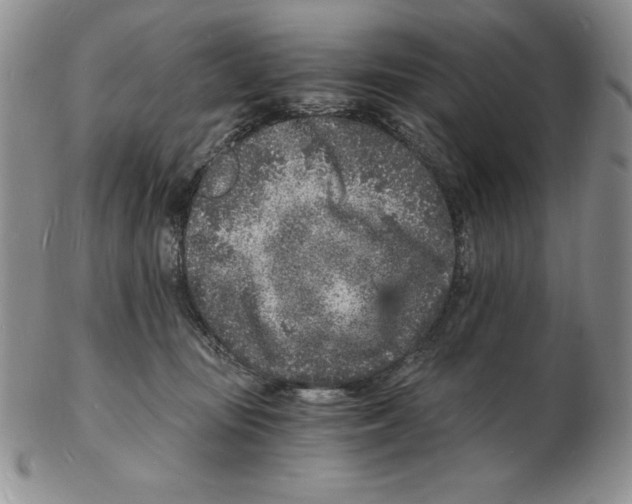 X0000102220371200808221251