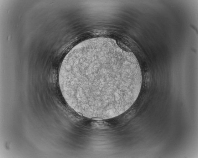 X0000102220372200808221251